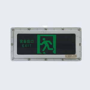 BYY系列防爆消防應(yīng)急標(biāo)志燈具(IIB、IIC)